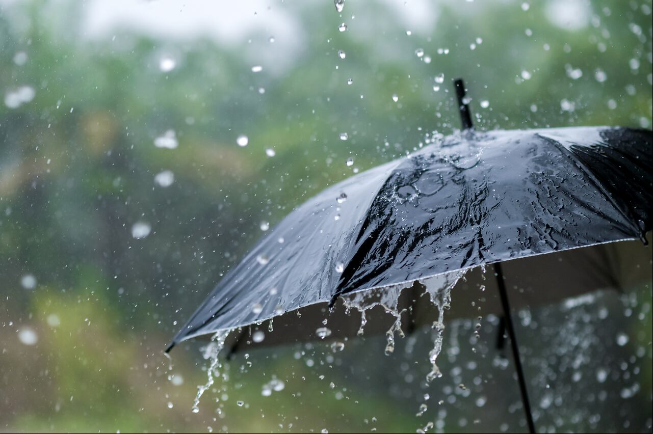 Paraguas - temporada de lluvias.