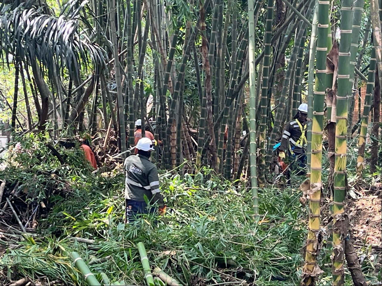 Trabajo de mitigación de riesgos este domingo, por equipos del DAGMA y la CVC, en un canal, ubicado entre La Campiña y elBosque.
En esta estructura , hay que talar los árboles, especialmente Guaduales, porque si vuelve a llover son un riesgo porque taponarían el canal , así como los sedimentos y todo lo que cayó y fue arrastrado hacia esta estructura.