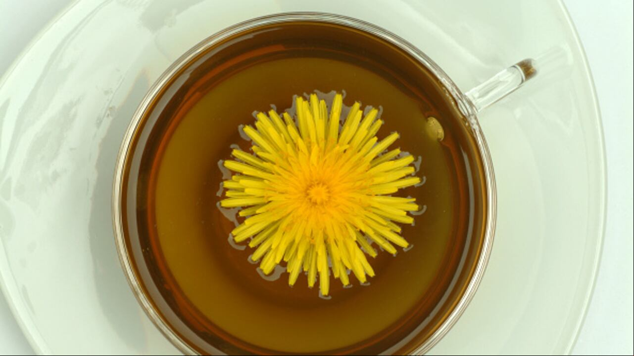 Medicinal tea made of common Dandelion, Taraxacum officinale. (Photo by: Bildagentur-online/Universal Images Group via Getty Images)