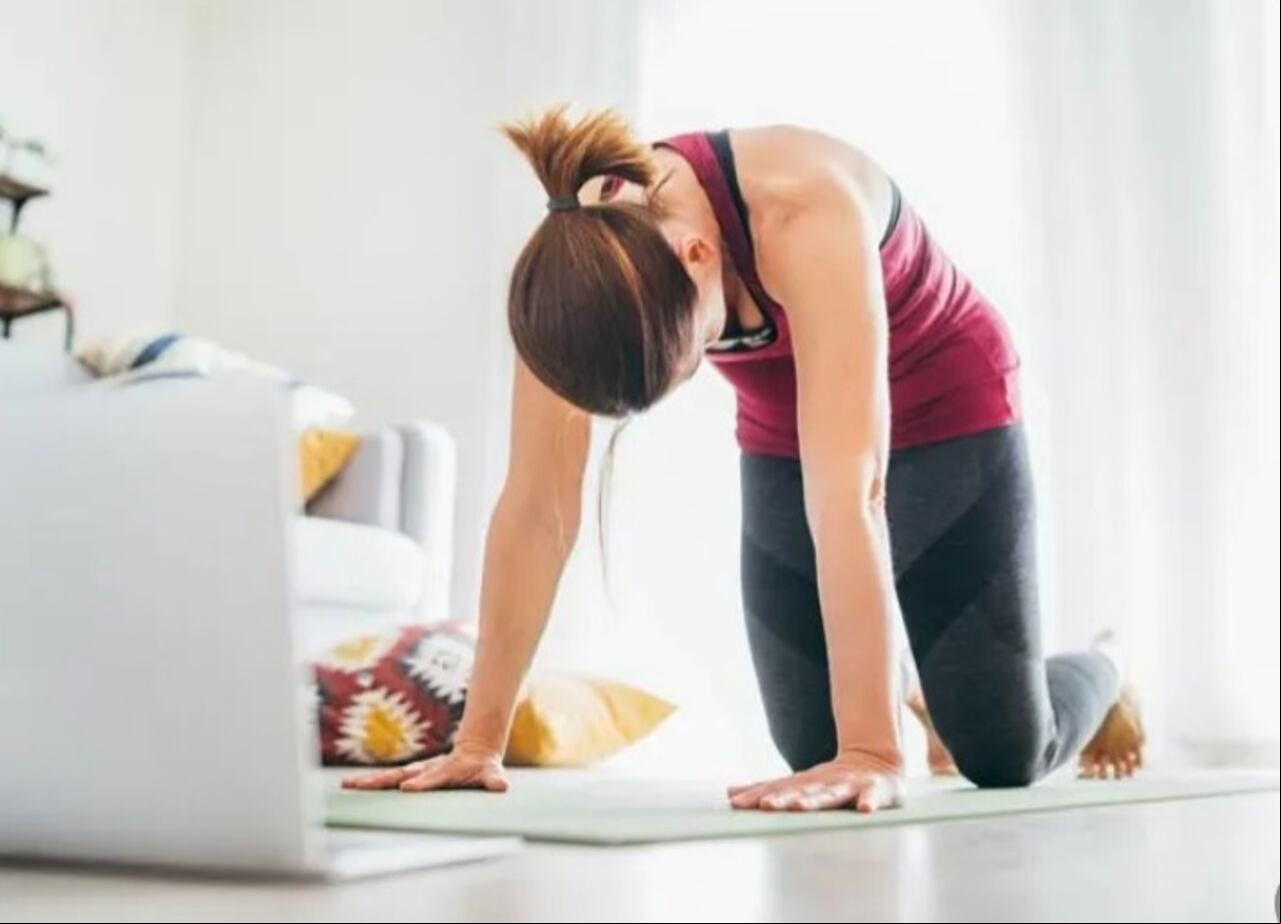 La postura de gato previene los dolores de espalda, tanto de cervicales como lumbares y aporta flexibilidad a la columna vertebral.