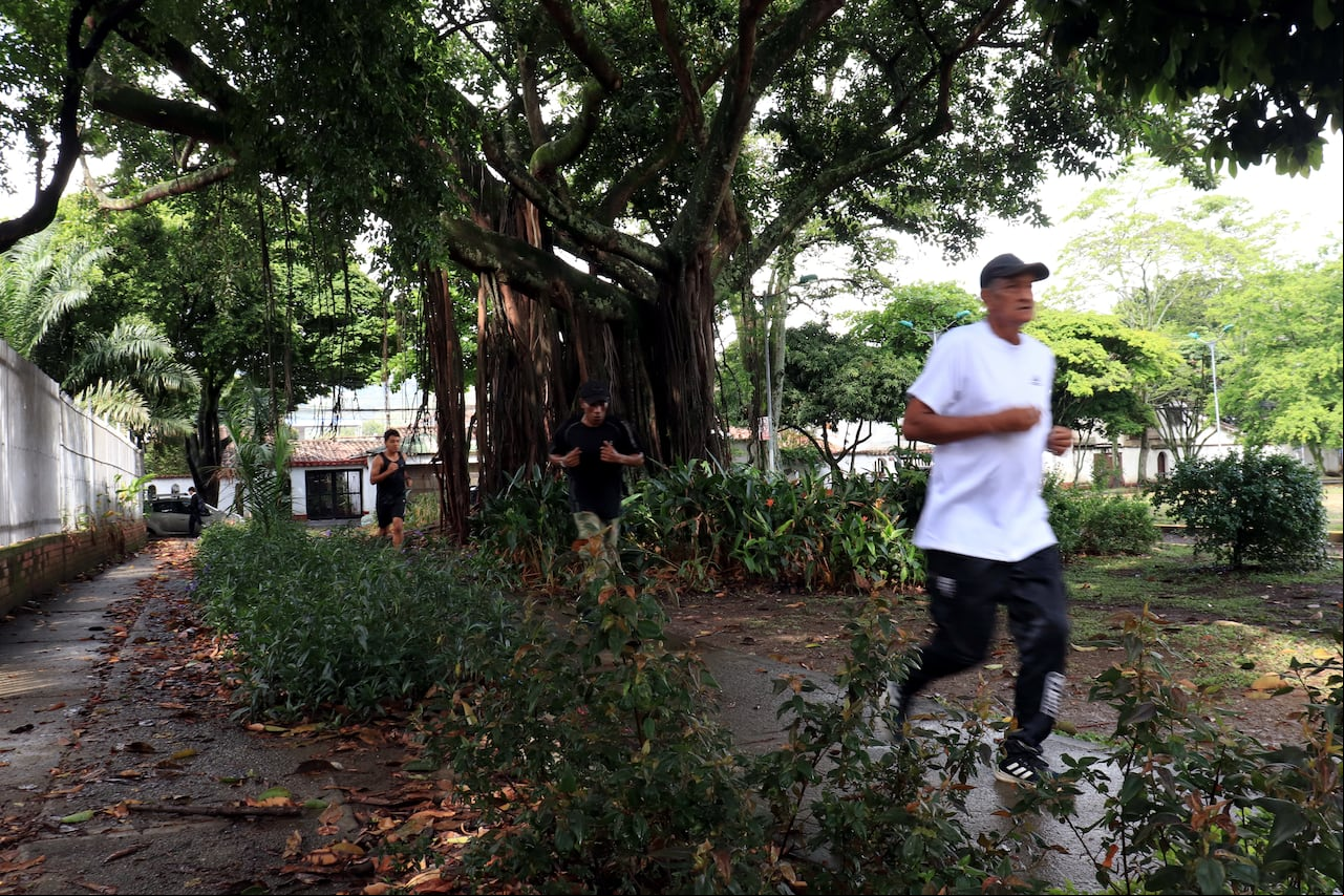 Cali tiene una de las redes de bosques urbanos mas extensa de américa latina.