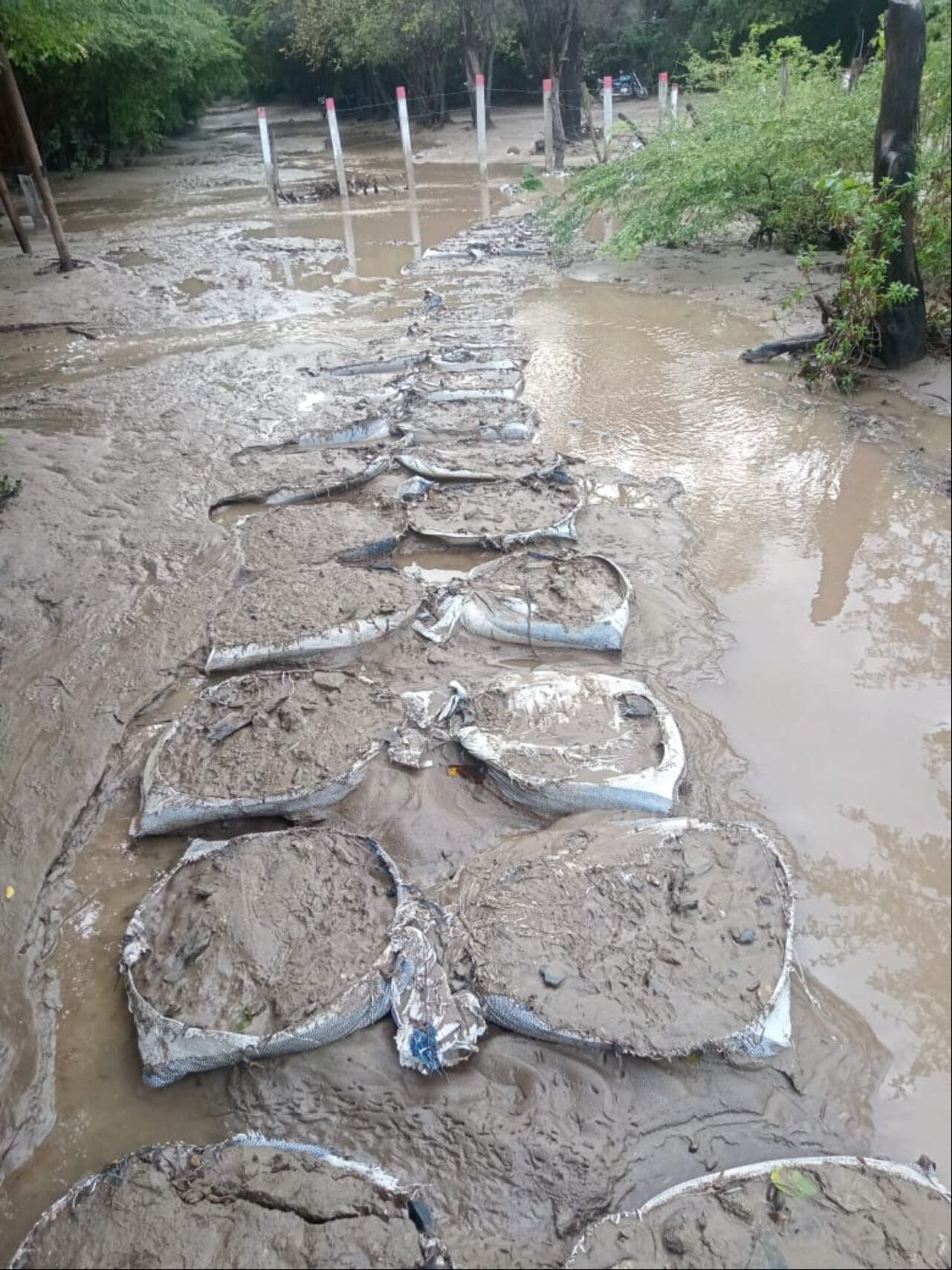 Las altas precipitaciones erosionaron los ingresos al sector de bahía Concha.