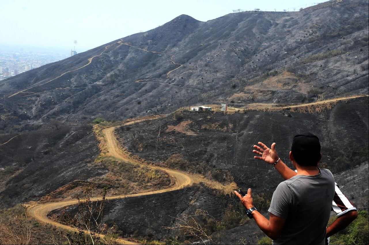 Cali: Varias familias afectadas y una gran extensión de montaña incineradas deja como resultado el incendio presentado en la zona alto de Menga, la campiña y barrios aledaños. Los operativos de control de los focos aún persistente continúan.