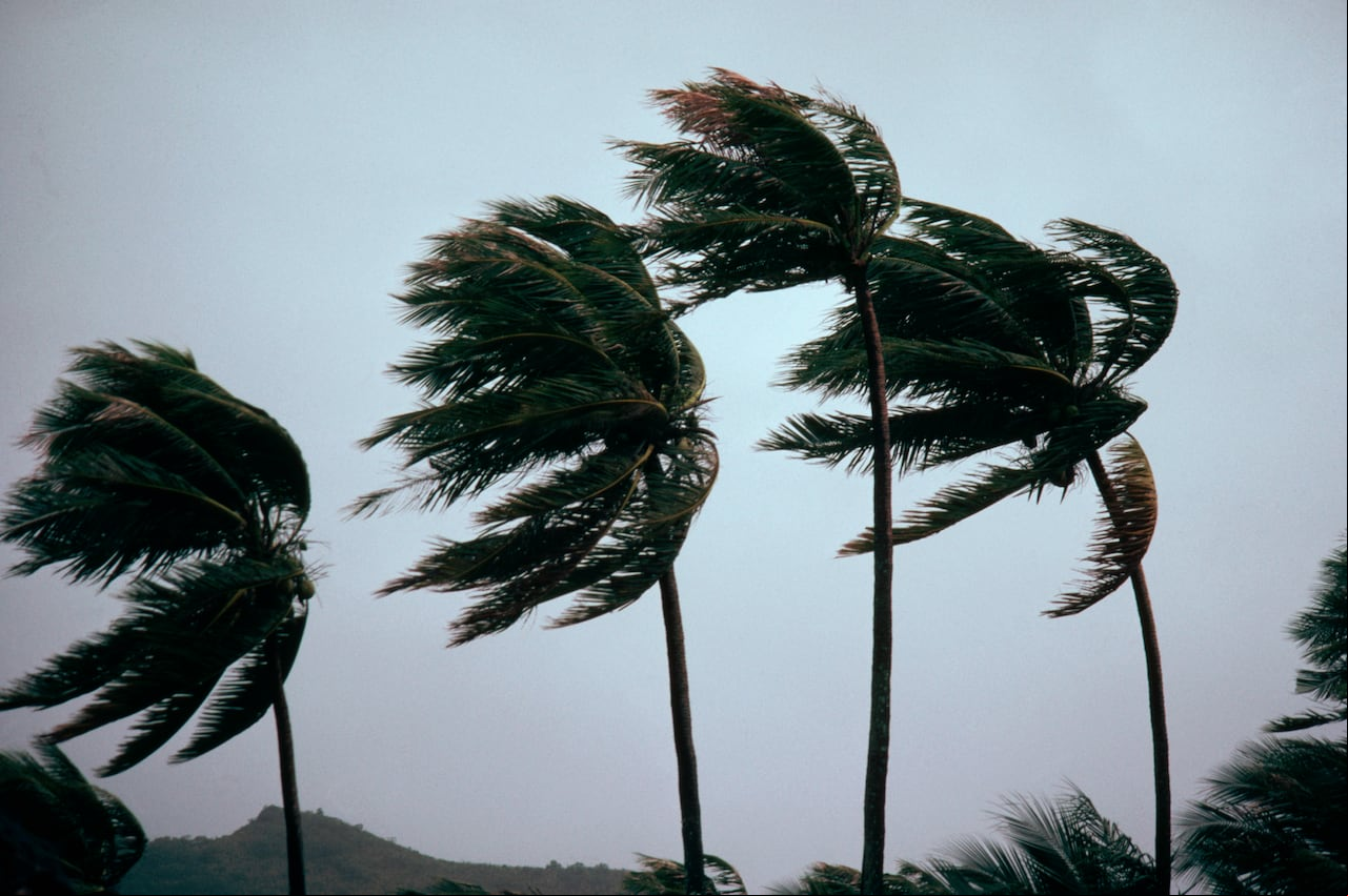 Los vendavales son fenómenos naturales muy recurrentes en el Caribe colombiano.