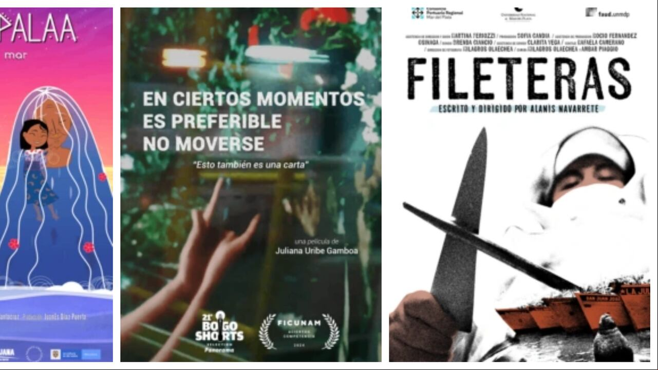 Tejiendo Miradas Femeninas, a partir del 5 de septiembre y hasta el 5 de octubre, los tres programas estarán disponibles en la plataforma de Retina Latina para que el público pueda disfrutarlos desde cualquier país.