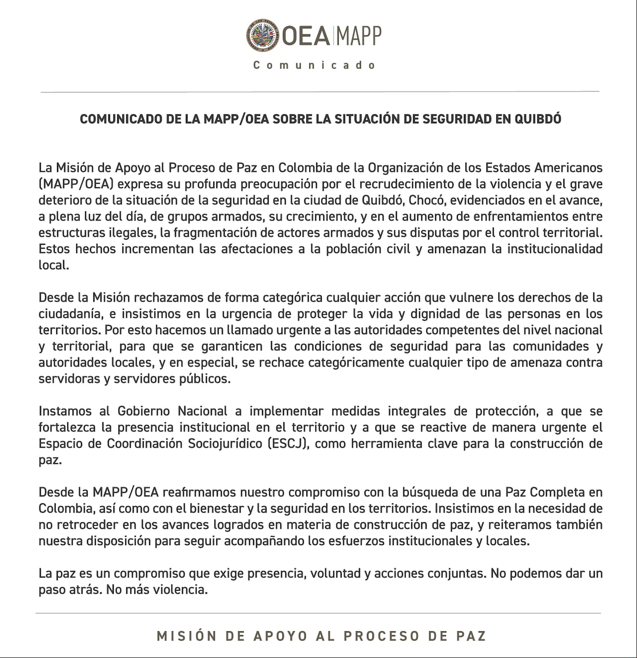 Este fue el comunicado emitido por la OEA.