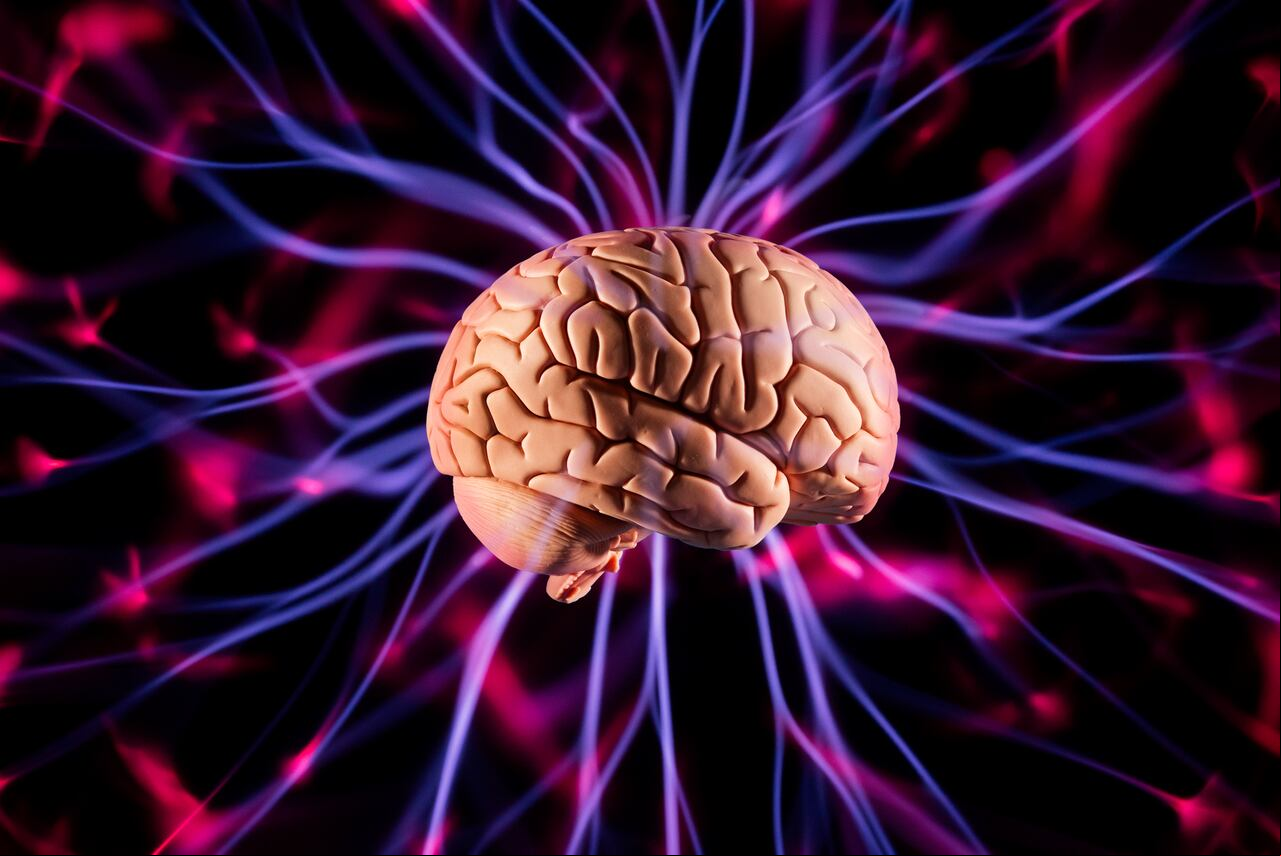 Neuronas