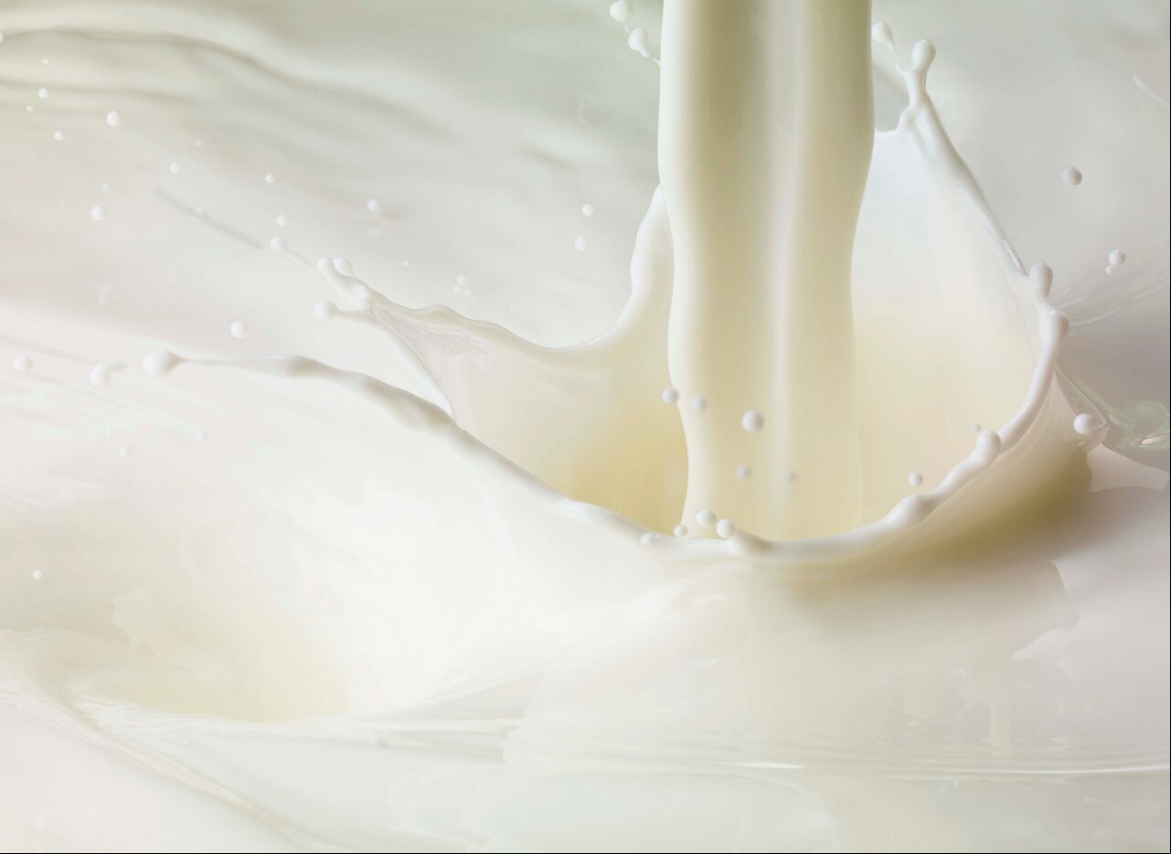 Leche