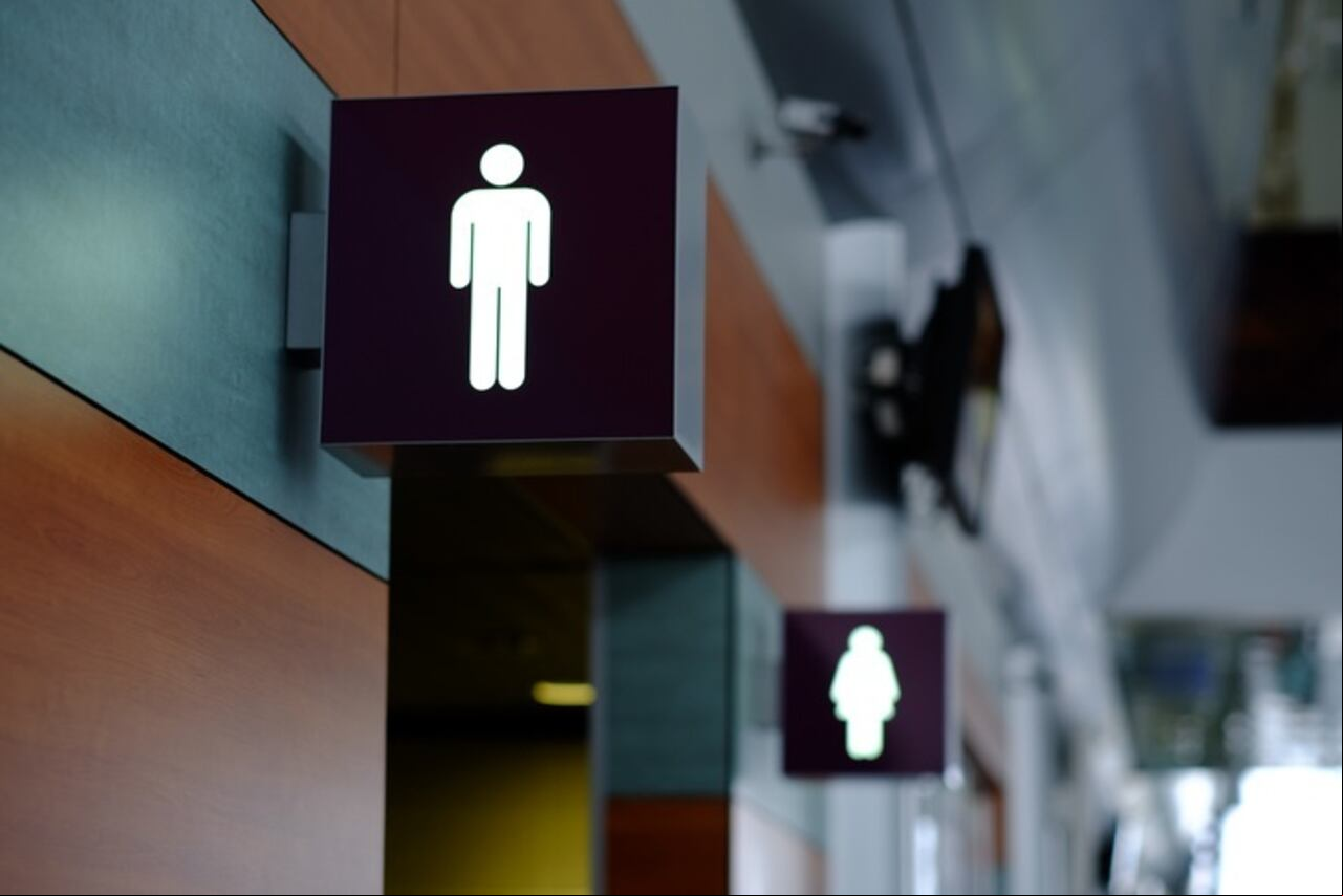 baño, inodoro