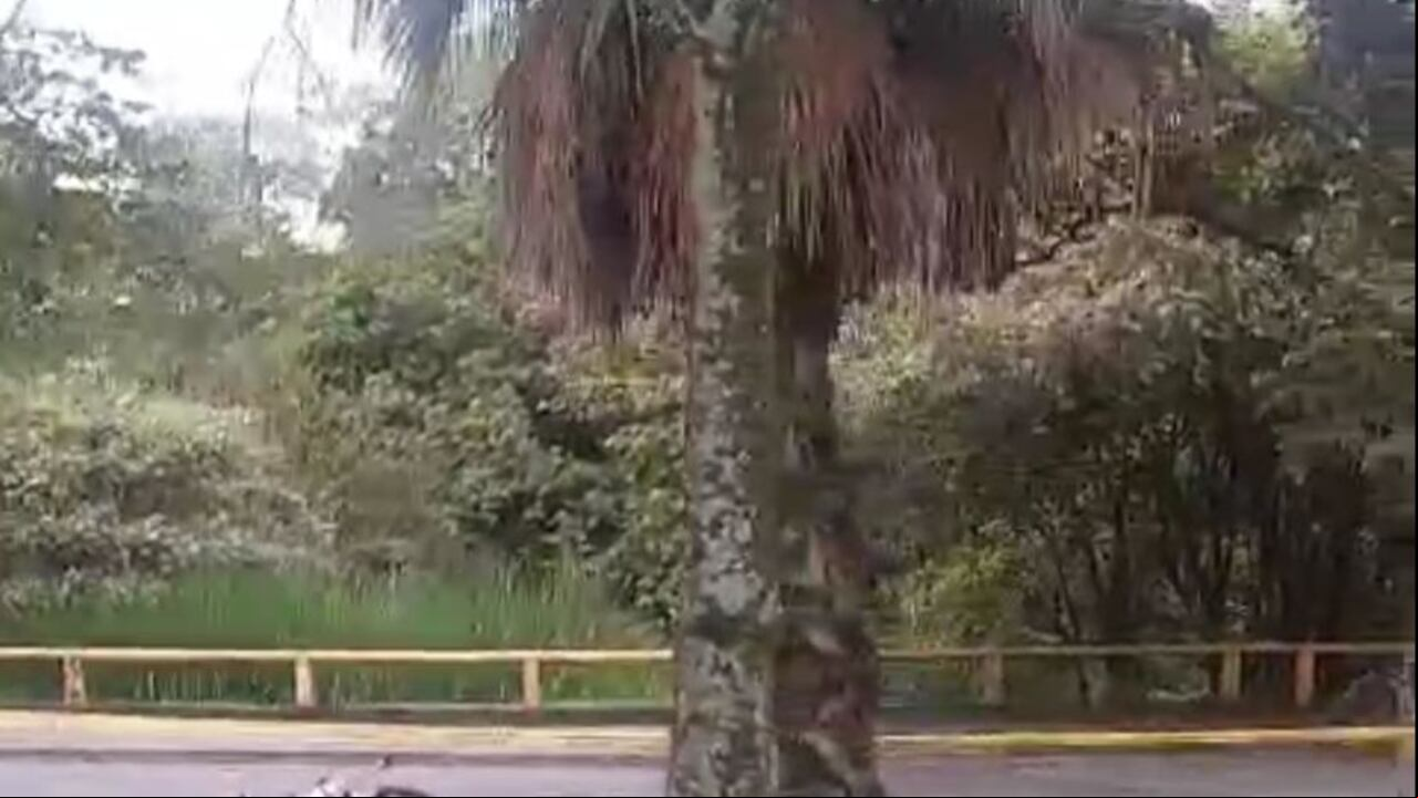 Accidente en Cali