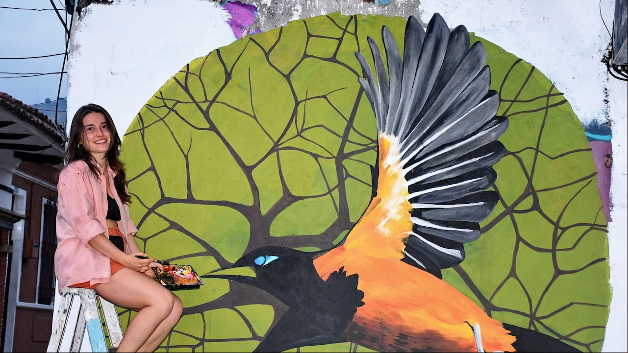 Vé: Muralista sa Mailis Fontani, plasma su arte en el barrio San Antonio de Cali. Foto José L Guzmán. EL País