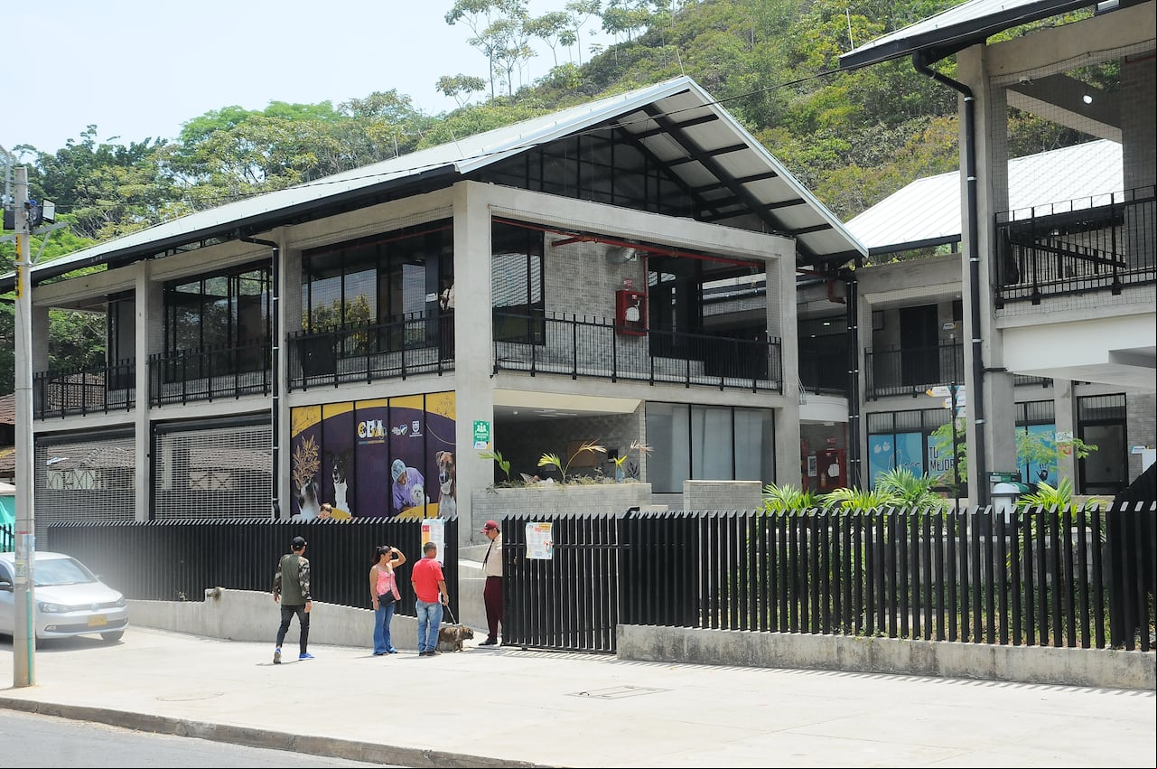 Cali: Denuncia de vecinos por maltrato a los animales en el interior del Centro de Bienestar Animal en la ciudad de Cali. foto José L Guzmán. EL Paí