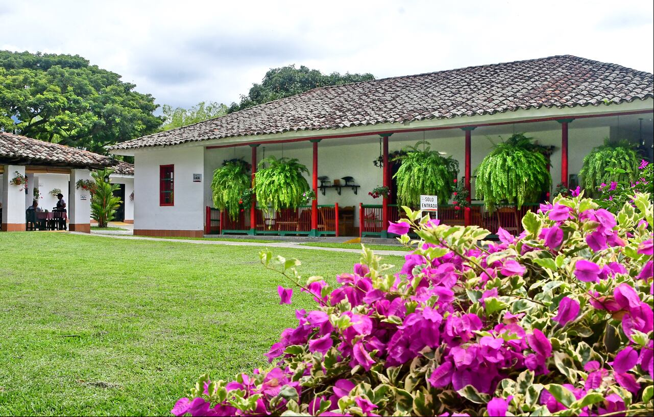 Ginebra Valle del Cauca Municipio