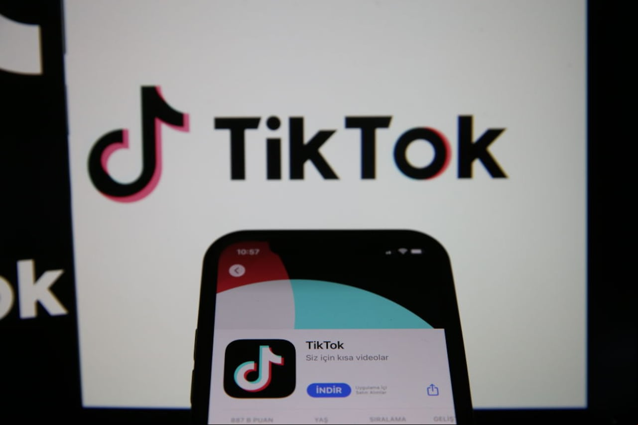 ¿Ha tenido la oportunidad de presenciar la fama alcanzada por este gato? El origen del meme de gato negro viral en TikTok ha sido finalmente revelado.