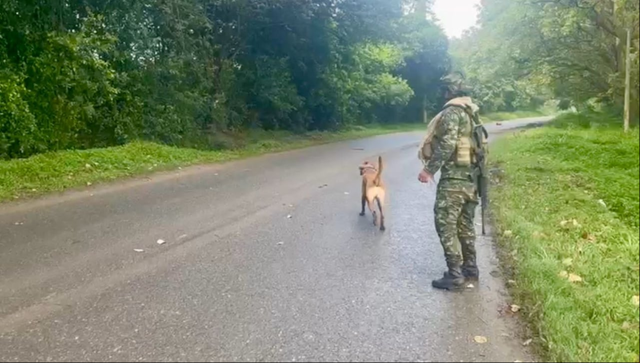 El Ejército Nacional desactivó un artefacto explosivo ubicado en vía de Miranda, Cauca.