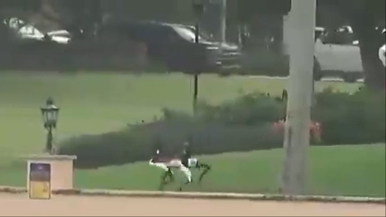 Perros robot custodian la casa de Donald Trump en La Florida.