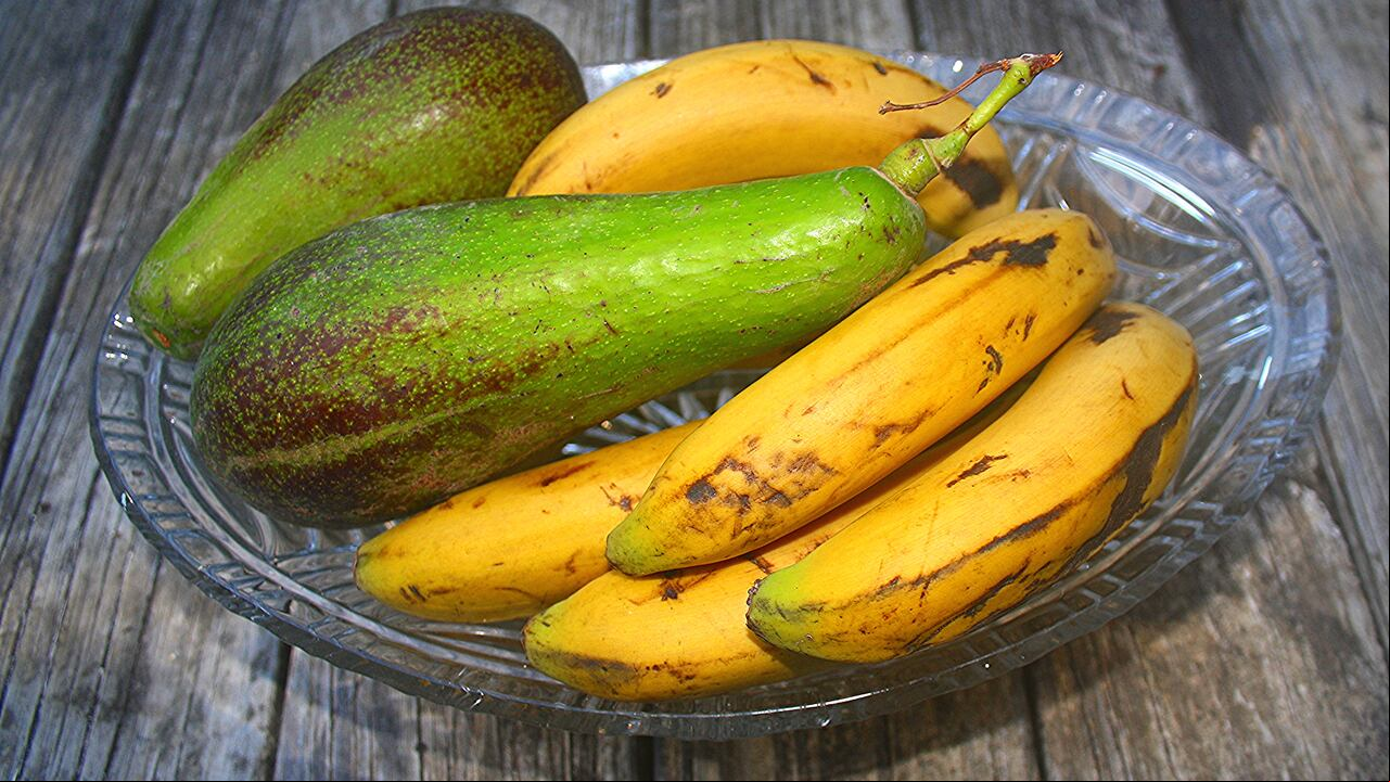 Bananos y aguacates