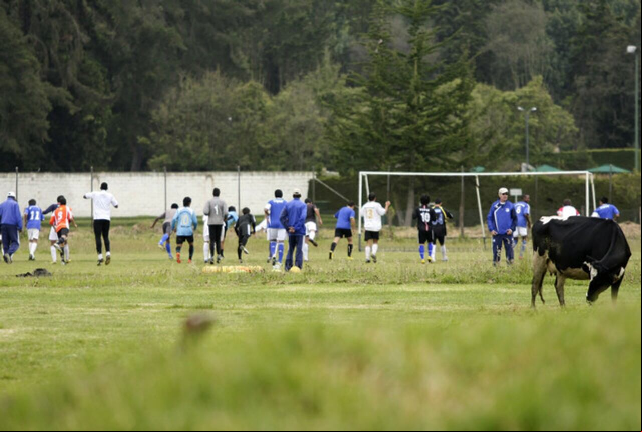 Imagen del año 2011, con jugadores de las divisiones menores de Millonarios entrenando en la sede (lote en cuestión) de Fontanar (norte de Bogotá).
