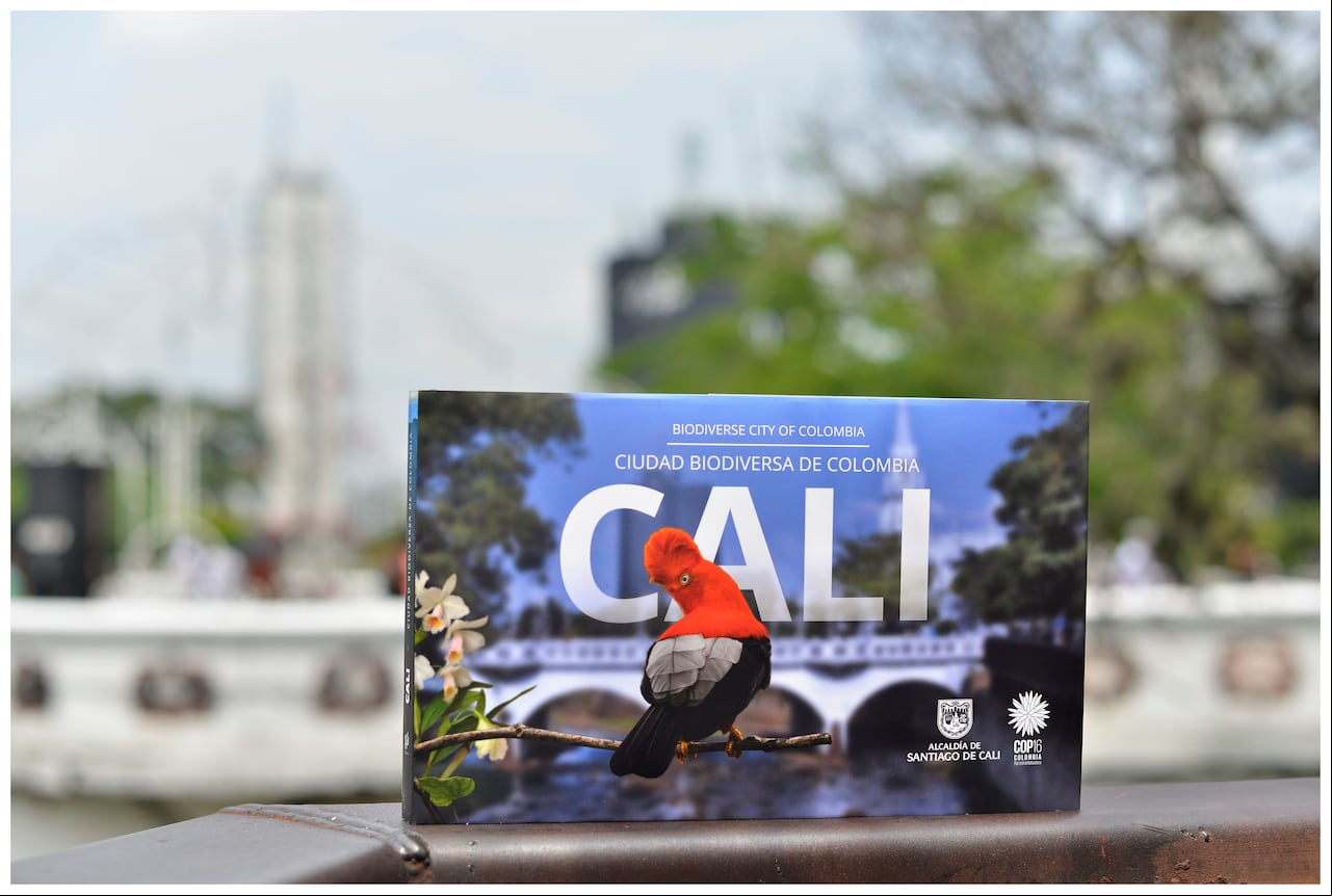 Libro oficial de la COP16