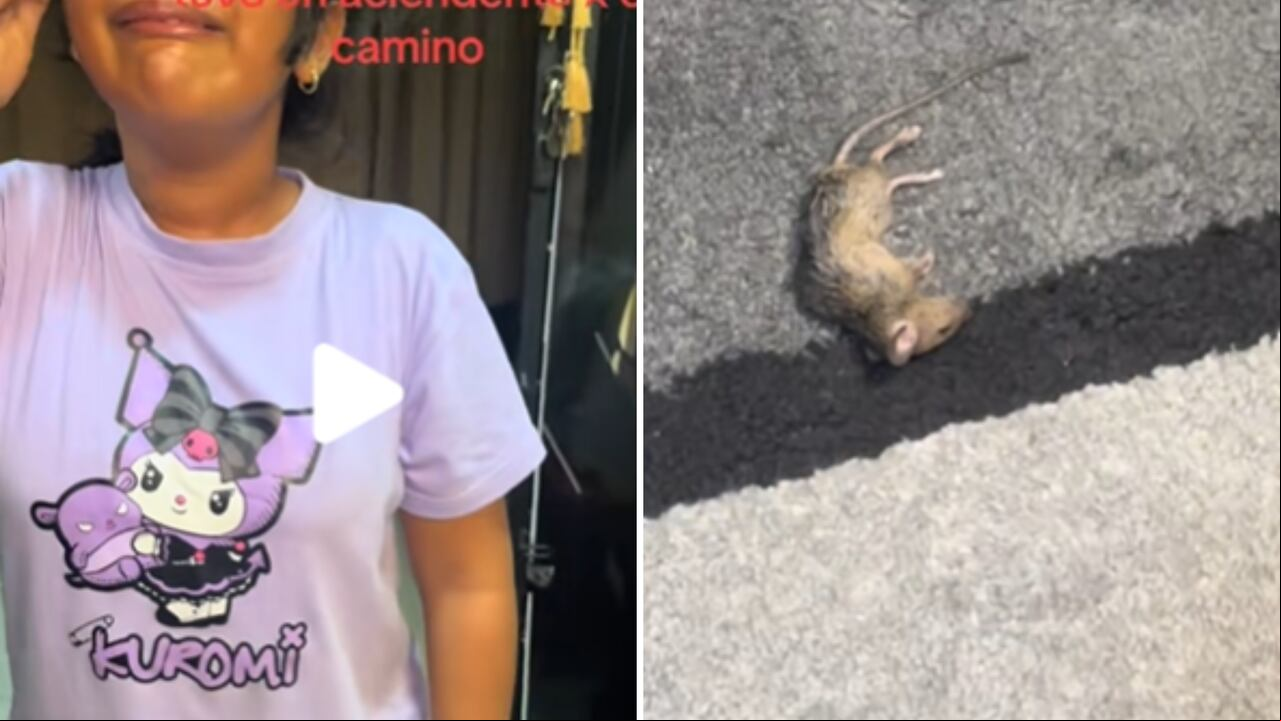 El curioso video se ha viralizado en redes sociales.