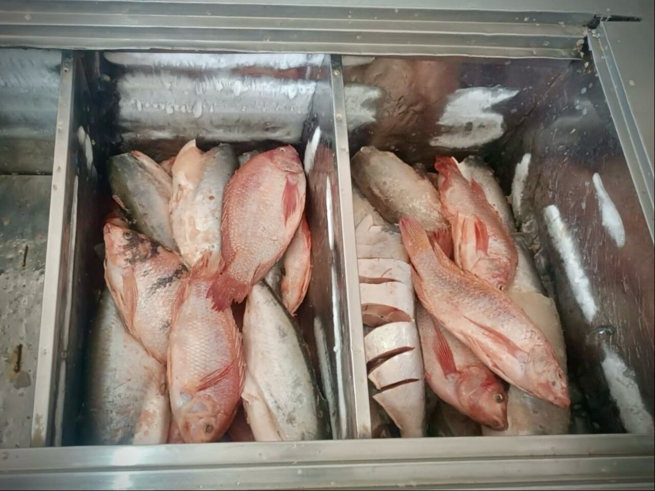Durante esta temporada del año, se llevan a cabo operativos de control y jornadas de sensibilización dirigidas a comerciantes y compradores de pescado y otros productos de alto consumo. Estas actividades se adelantan en articulación con las entidades sanitarias y demás entidades distritales, como parte de un plan preventivo para fomentar prácticas adecuadas de manipulación, almacenamiento y comercialización de alimentos.