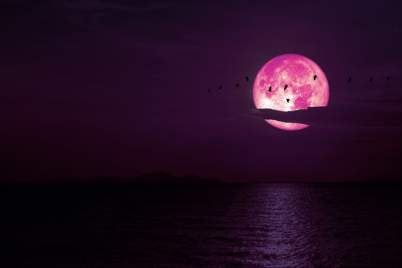 Luna de Fresa