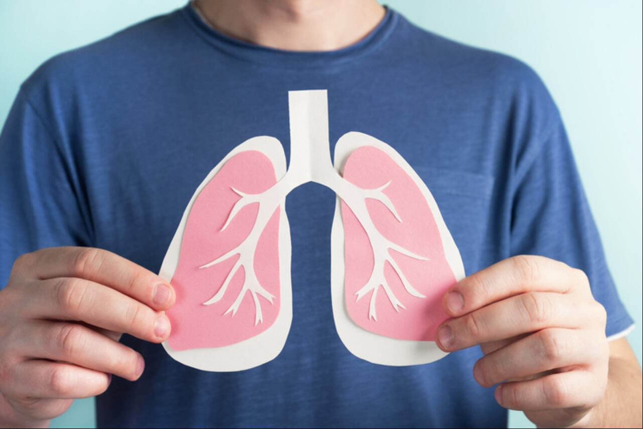 Pulmones