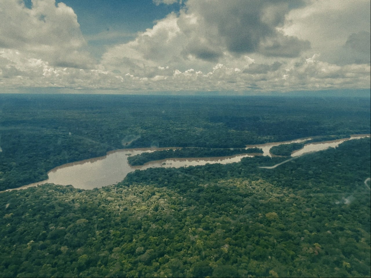 Selva amazónica en la que se perdieron cuatro niños indígenas tras caer la avioneta en la que se movilizaban.