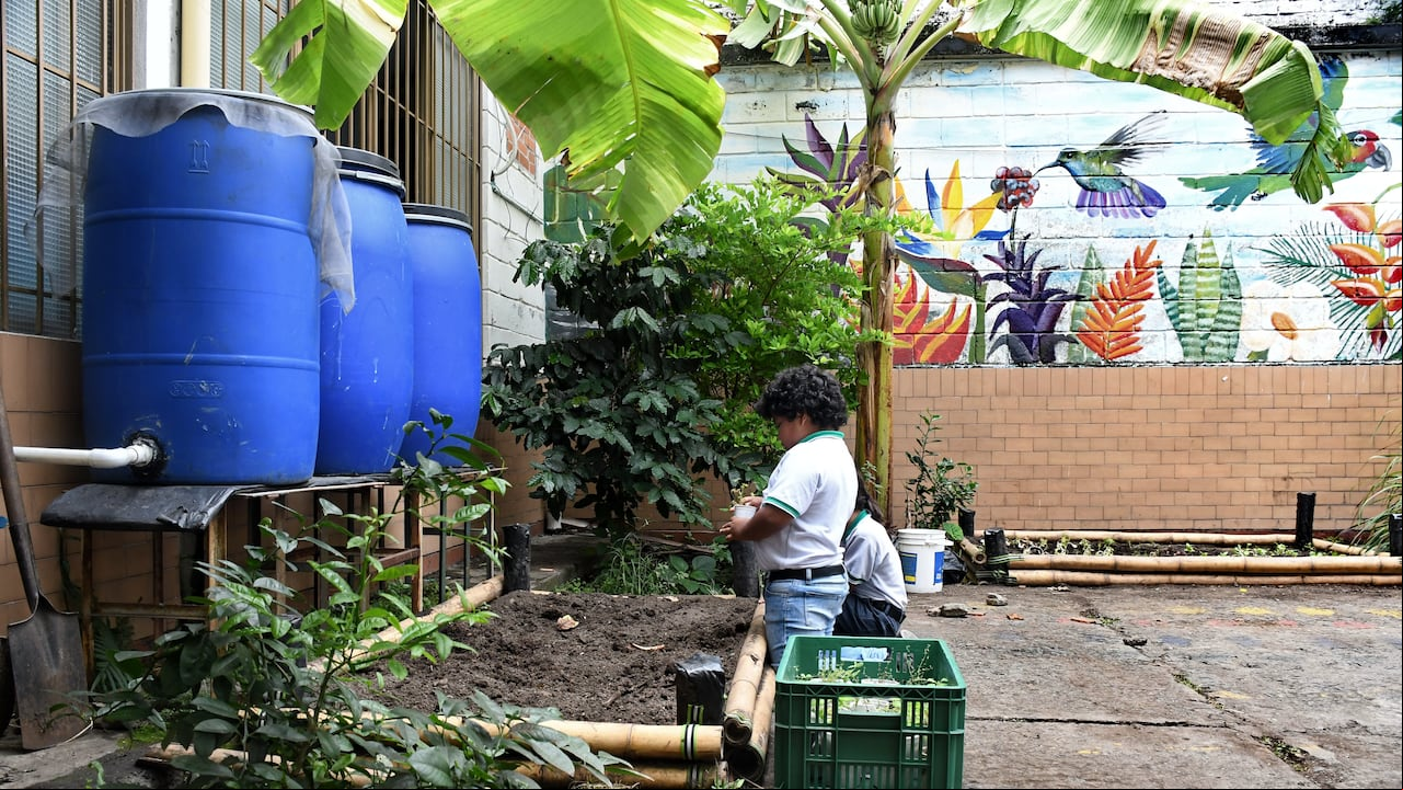 Cali: Colegio Eco escuela Alberto Sardi, San Antonio: foto José L Guzmán. EL País