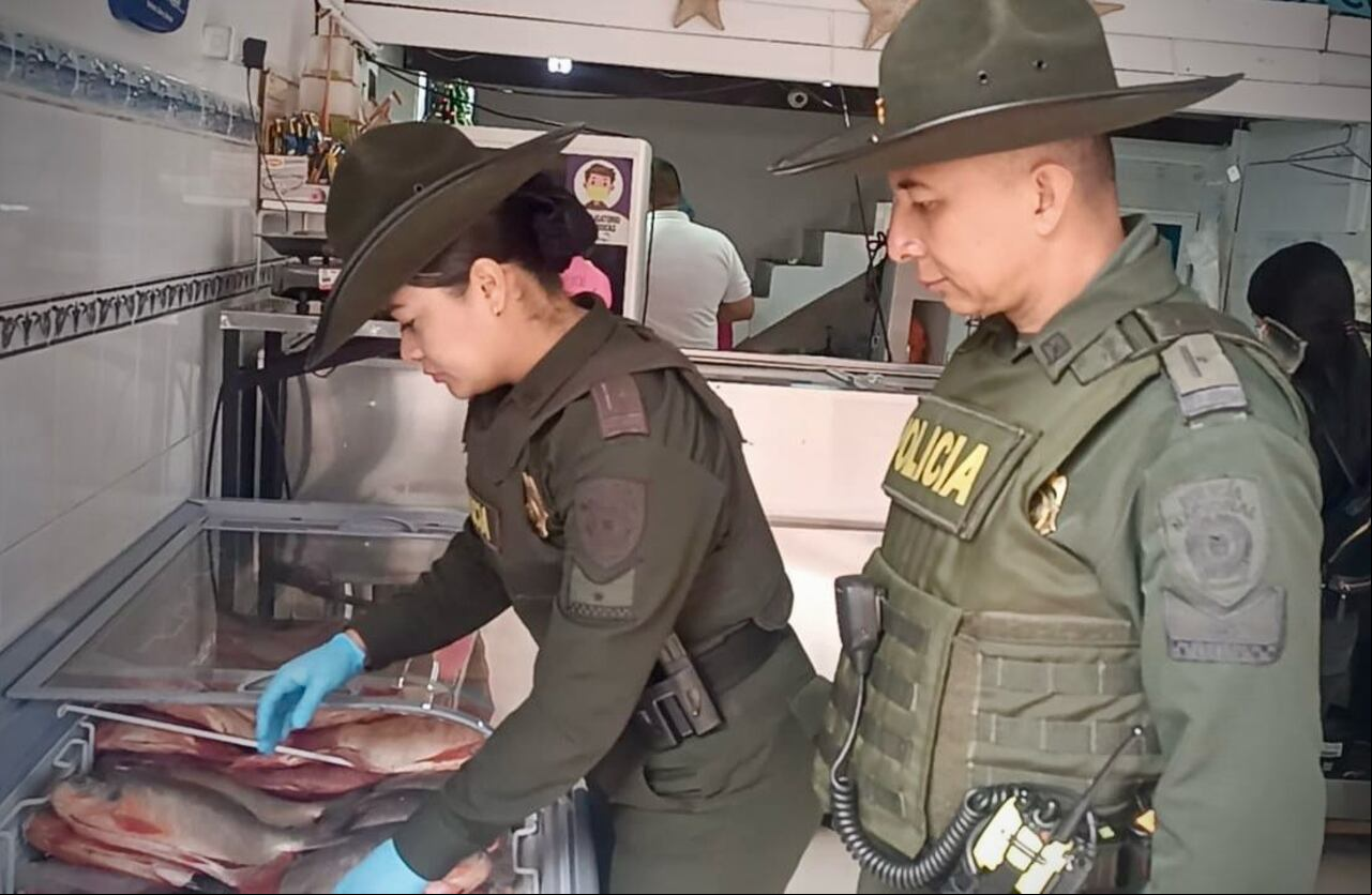 Con estos operativos, la Policía Popayán busca no solo prevenir enfermedades transmitidas por alimentos en mal estado, sino también fortalecer la cultura de legalidad y responsabilidad entre vendedores y consumidores.