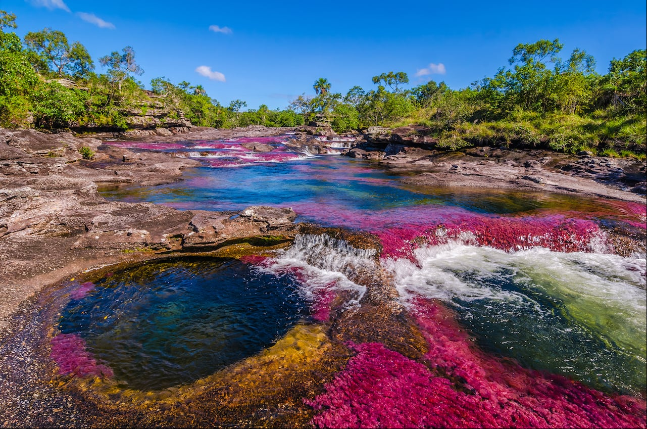 Caño Cristales