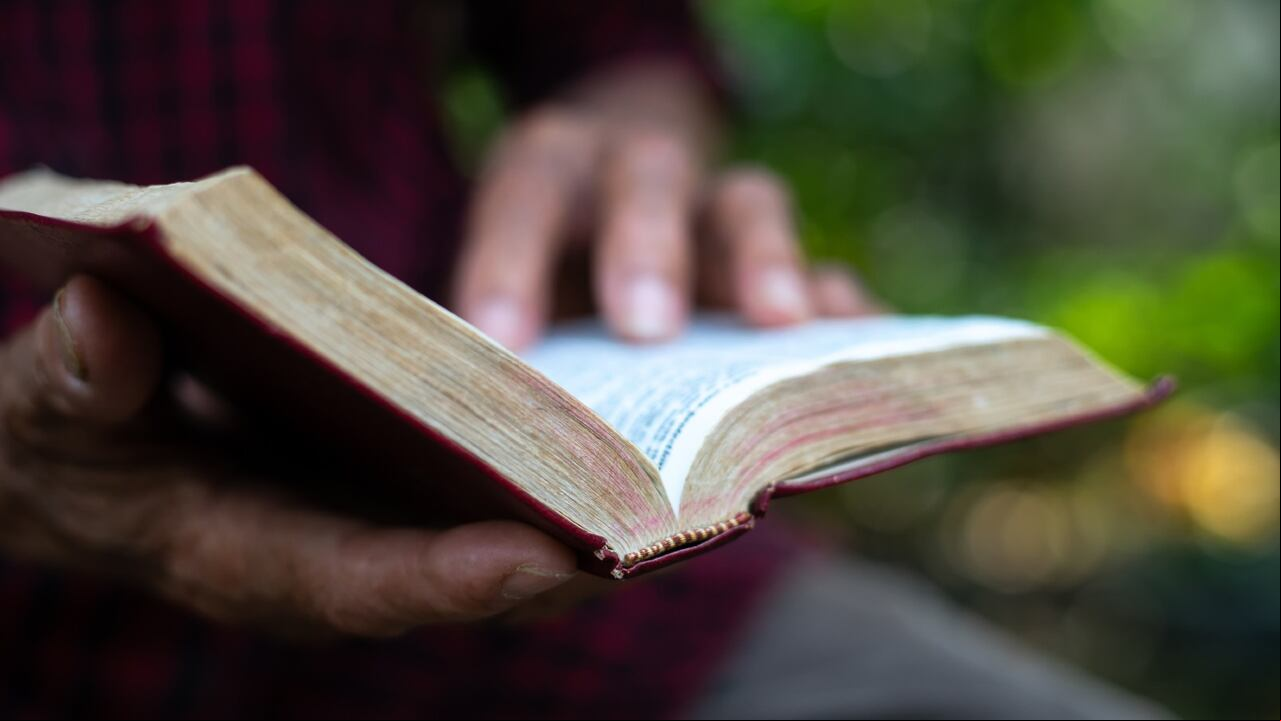 Lo que dice de los diezmos y las ofrendas en la Biblia.