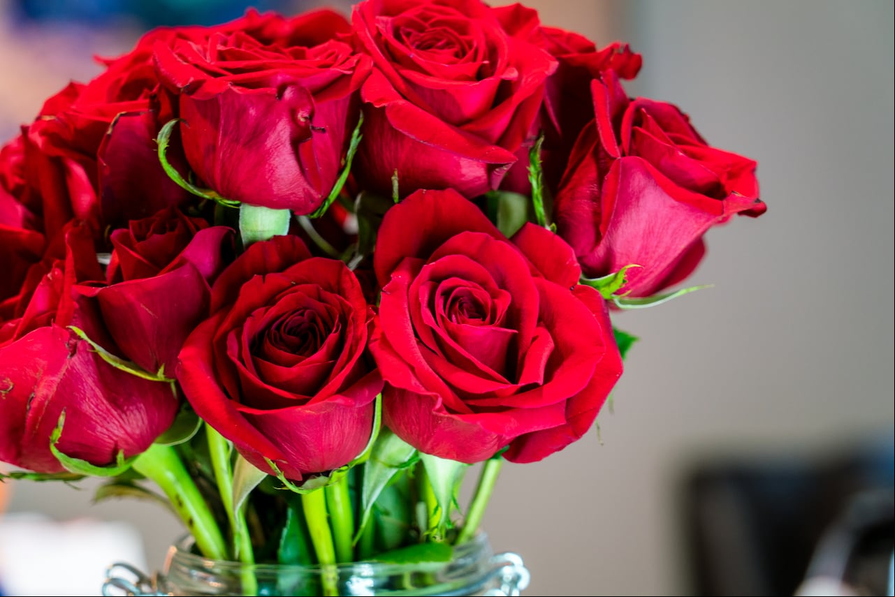 Rosas rojas