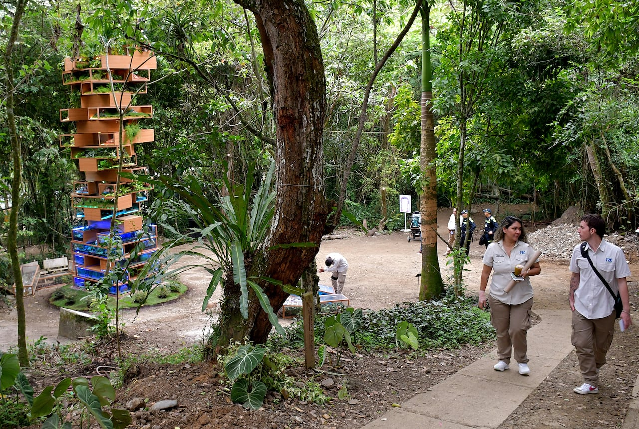 La Jenga de la COP16 fue reubicada en el Jardín Botánico de Cali. La obra de la biodiversidad del artista Benjamín Von Wong, estará en exposición permanente en este lugar para los Caleños. Fotos Raúl Palacios / El Pais.