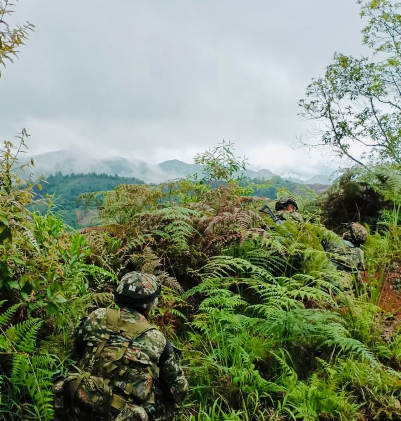 También, en la zona rural de Morales, Cauca, se presentan combates entre la fuerza pública y este grupo armado al margen de la ley, denuncian los campesinos de la zona.