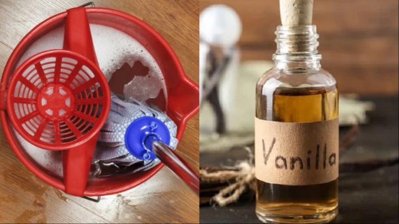 Trapear con vainilla desinfecta el piso y lo deja libre de bacterias.
Foto: Pinterest