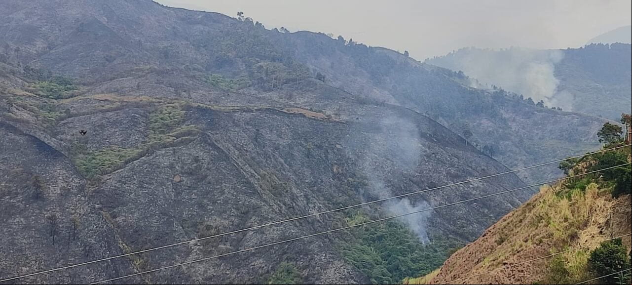 Incendio forestal en barrio Villa del Mar del sector de Terrón Colorado.