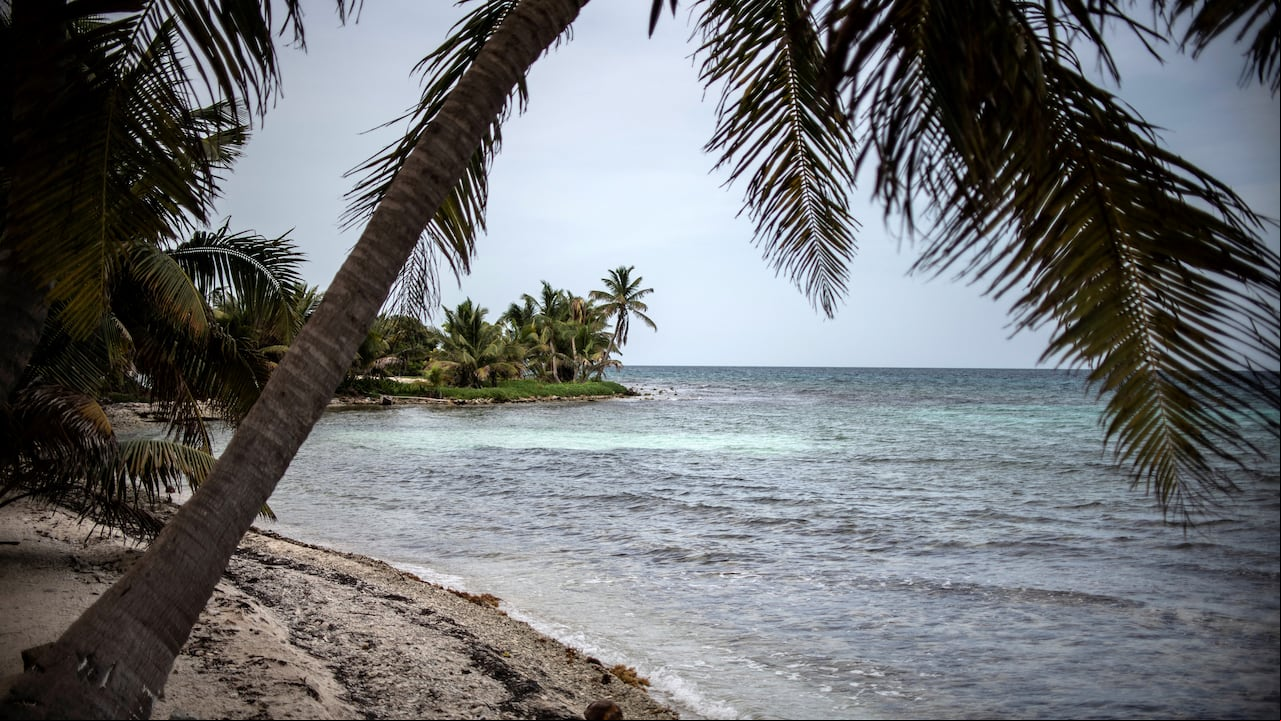 Belice está tomando medidas para proteger su barrera de arrecifes, la segunda más grande del mundo.