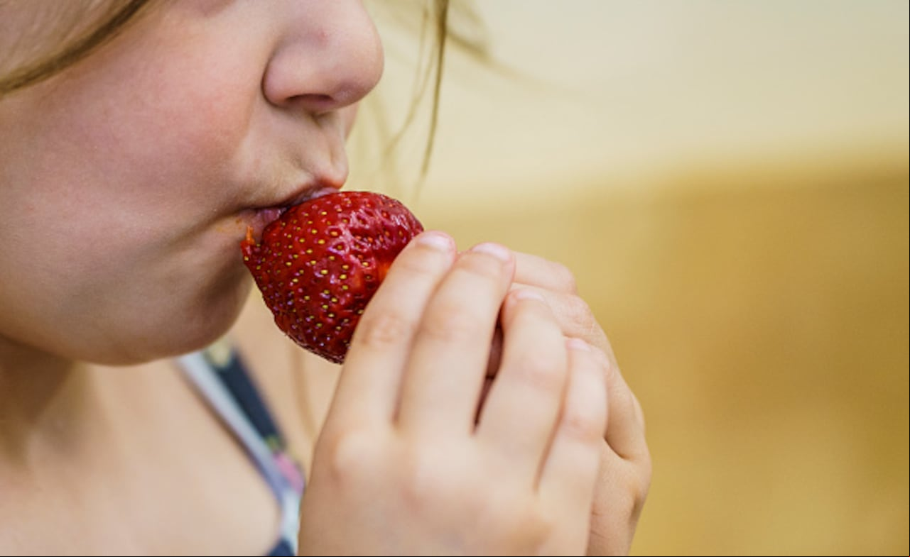 El Departamento de Salud del estado de Nueva York advirtió que el virus también se puede transmitir al consumir comida o bebida que fue manipulada por una persona infectada”. (Photo by Andreas Arnold/picture alliance via Getty Images)