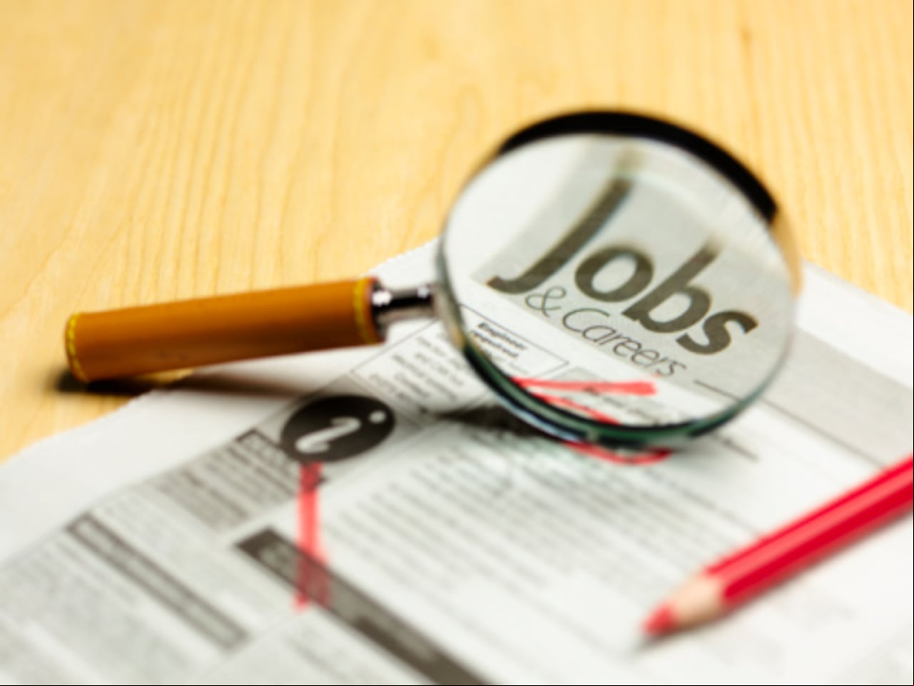 Lupa buscando trabajo, se puede aplicar en compañías de Canadá o Alemania