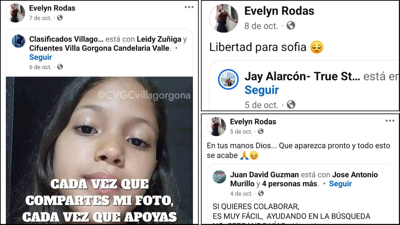 Estas son algunas de las publicaciones que la mujer hacía en redes sociales.