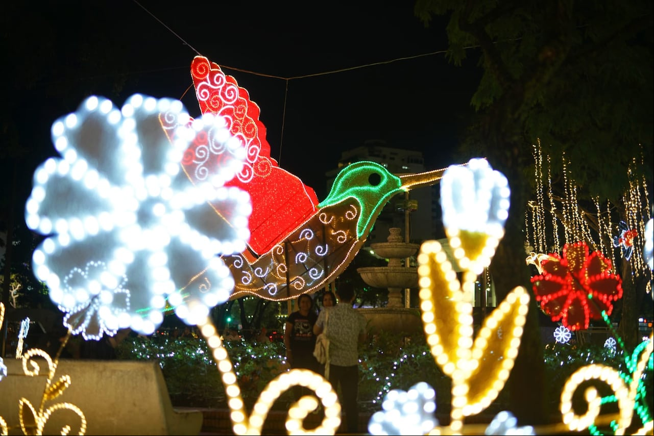 Cali iluminó su noche con el esperado encendido del Alumbrado Navideño 2024