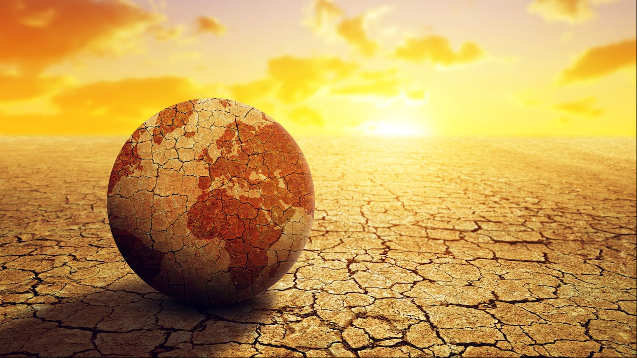 Según expertos, el cambio climático es el principal factor determinante del incremento de las sequías. Algunas iniciativas ambientales buscan incentivar un modo de vida ecoamigable.