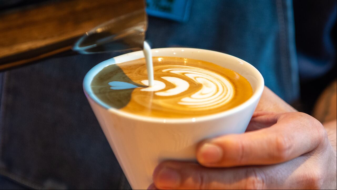 Barista