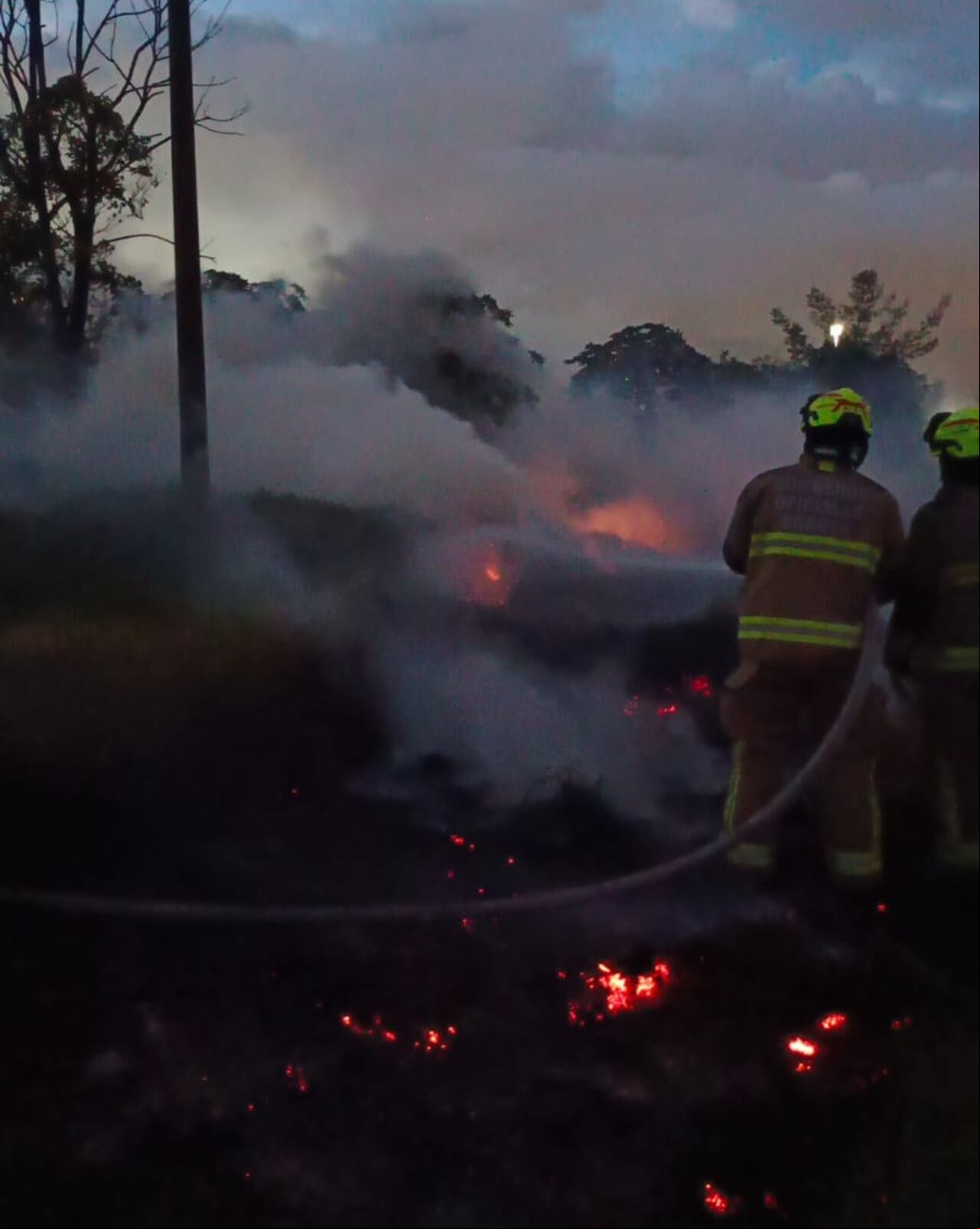 Incendio forestal en la localidad de Kennedy, Bogotá.
