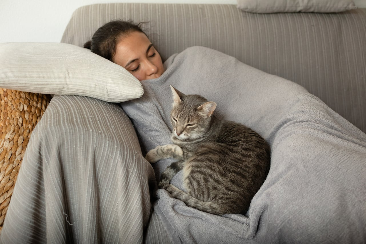 Los gatos eligen a quién acurrucarse en la noche y aquí se explican las razones.