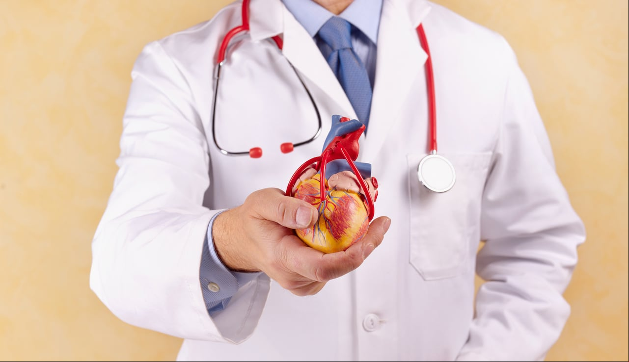Descubrimientos científicos respaldan el uso de una planta medicinal antigua para mejorar la circulación sanguínea y prevenir enfermedades cardiovasculares.