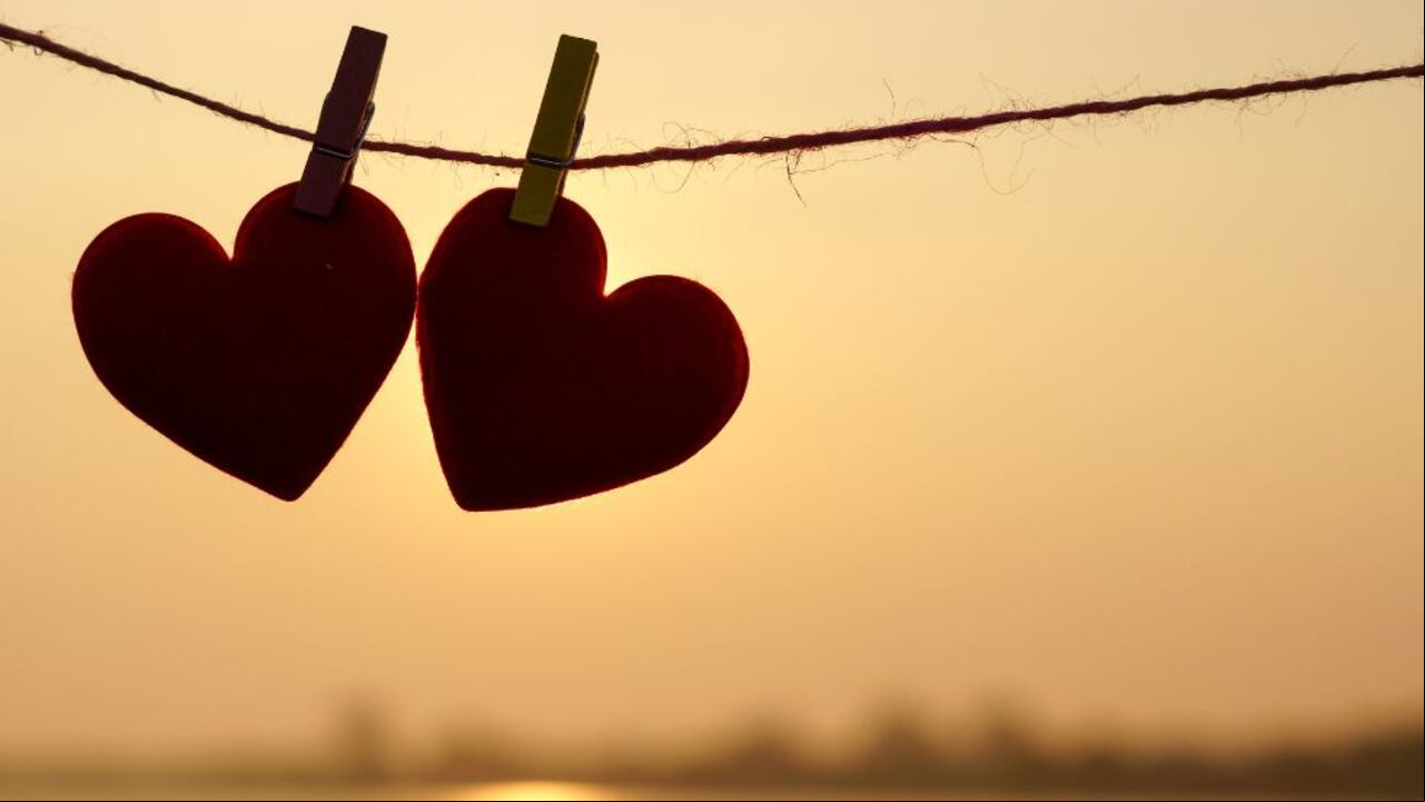 Amor