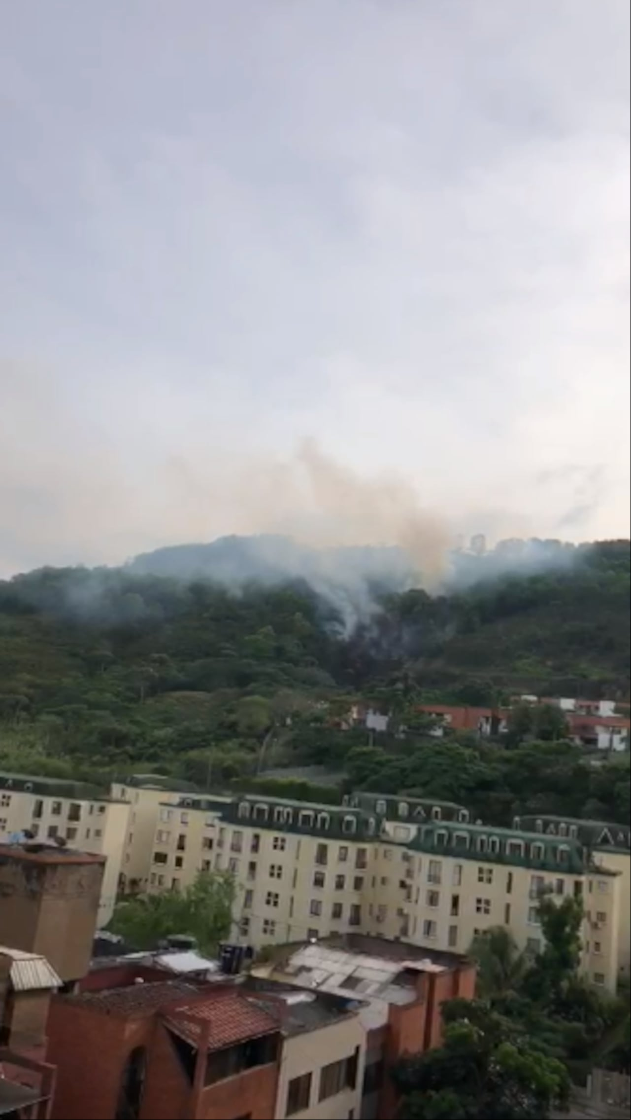 El incendio logró consumir una gran cantidad de fauna y flora en Cali.