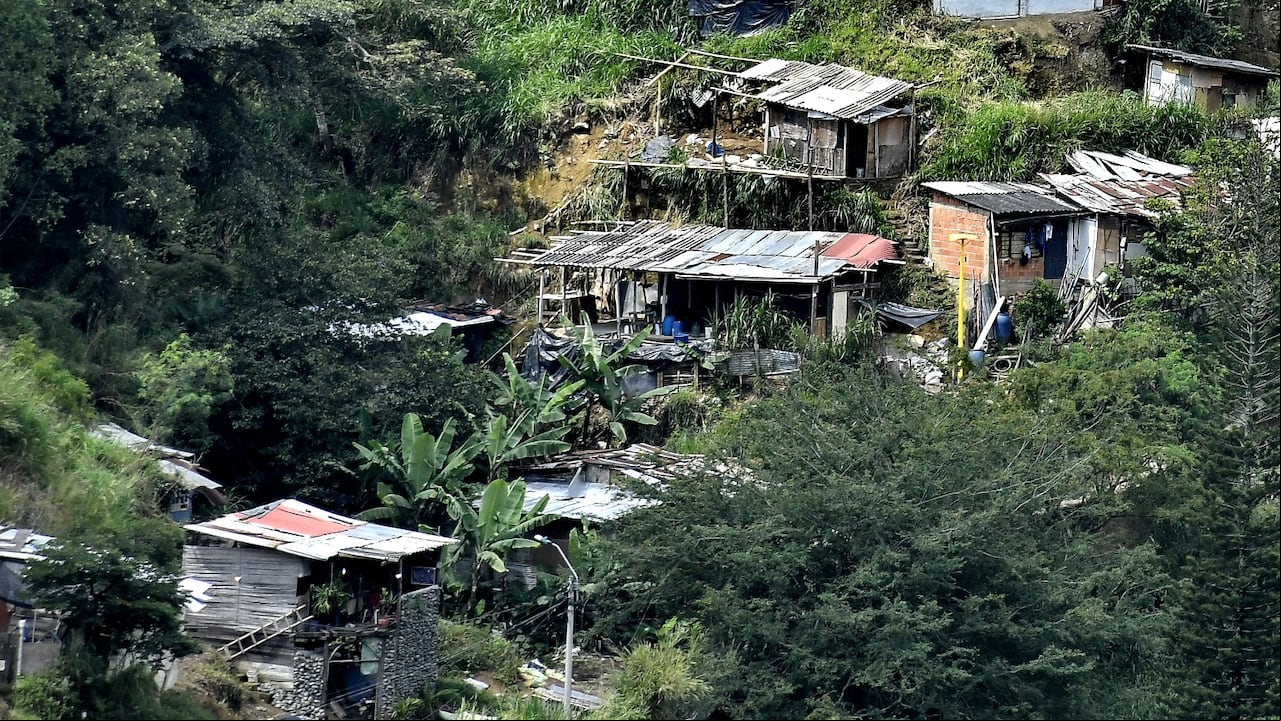 Pilas del Cabuyal, a un kilómetro del zoológico, es otra dede las grandes afectaciones que tiene el municipio de Cali, donde a pesar de órdenes de restitución, operativos y demás, el problema no cede, por el contrario sigue escalando más la montaña, una zona de protección forestal nacional. Fotos: El País